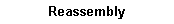 Text Box: Reassembly