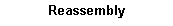 Text Box: Reassembly